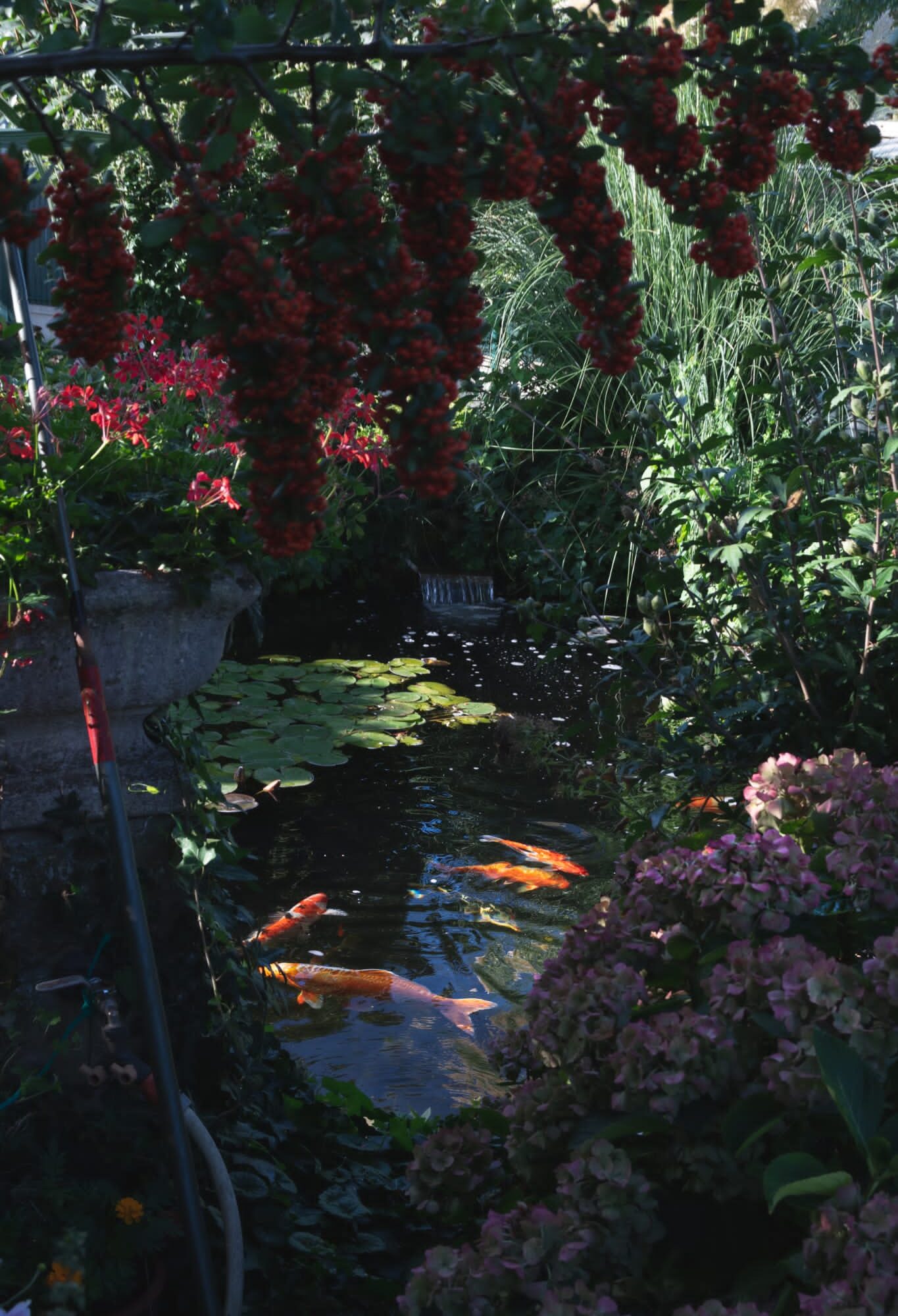 3JTP090 1365X2000 | 3JTP 3JTP : une entreprise familiale avec plus de 35 ans d’expérience en travaux et paysage Illzach