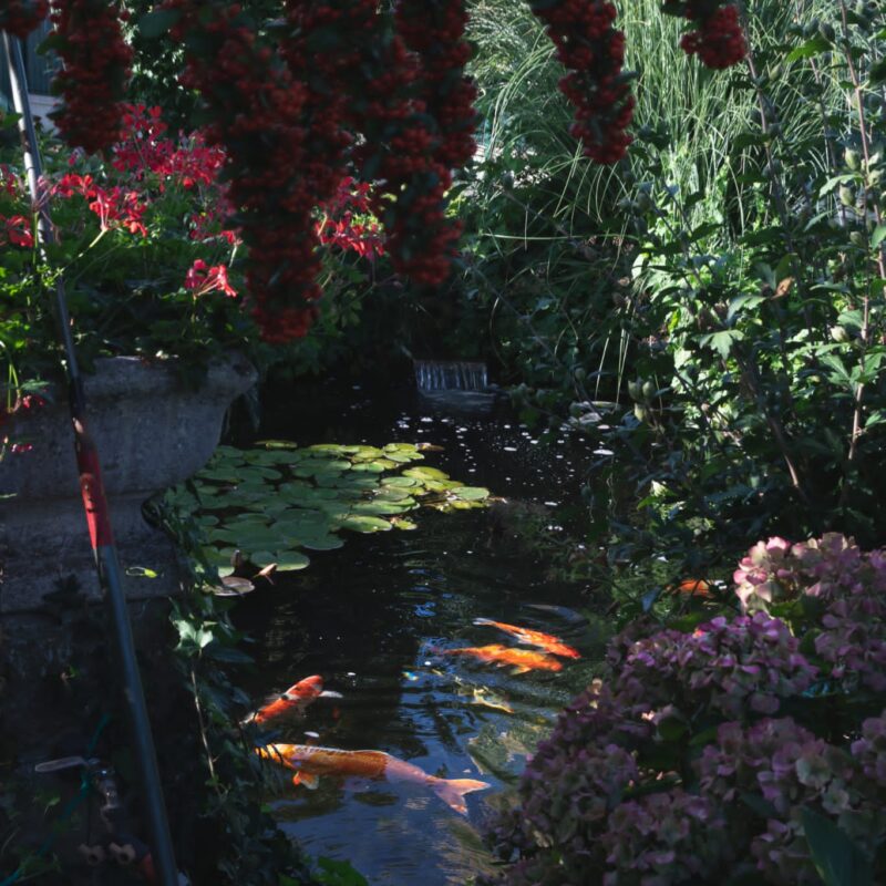 3JTP090 800X800 | 3JTP Photos page d’accueil Mulhouse 0